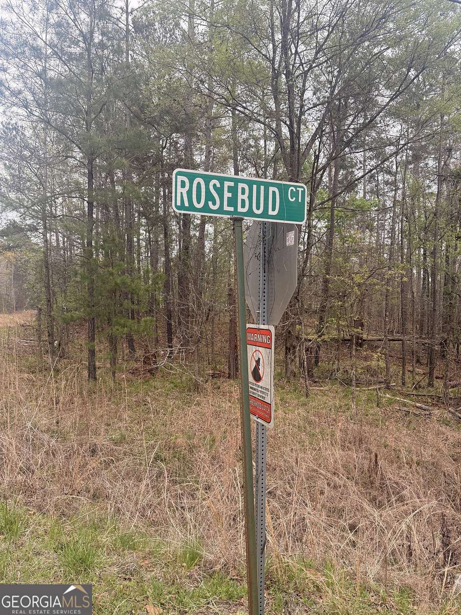 0.66 Acres of Residential Land for Sale in Sparta, Georgia