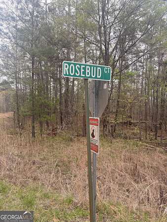 0.66 Acres of Residential Land for Sale in Sparta, Georgia