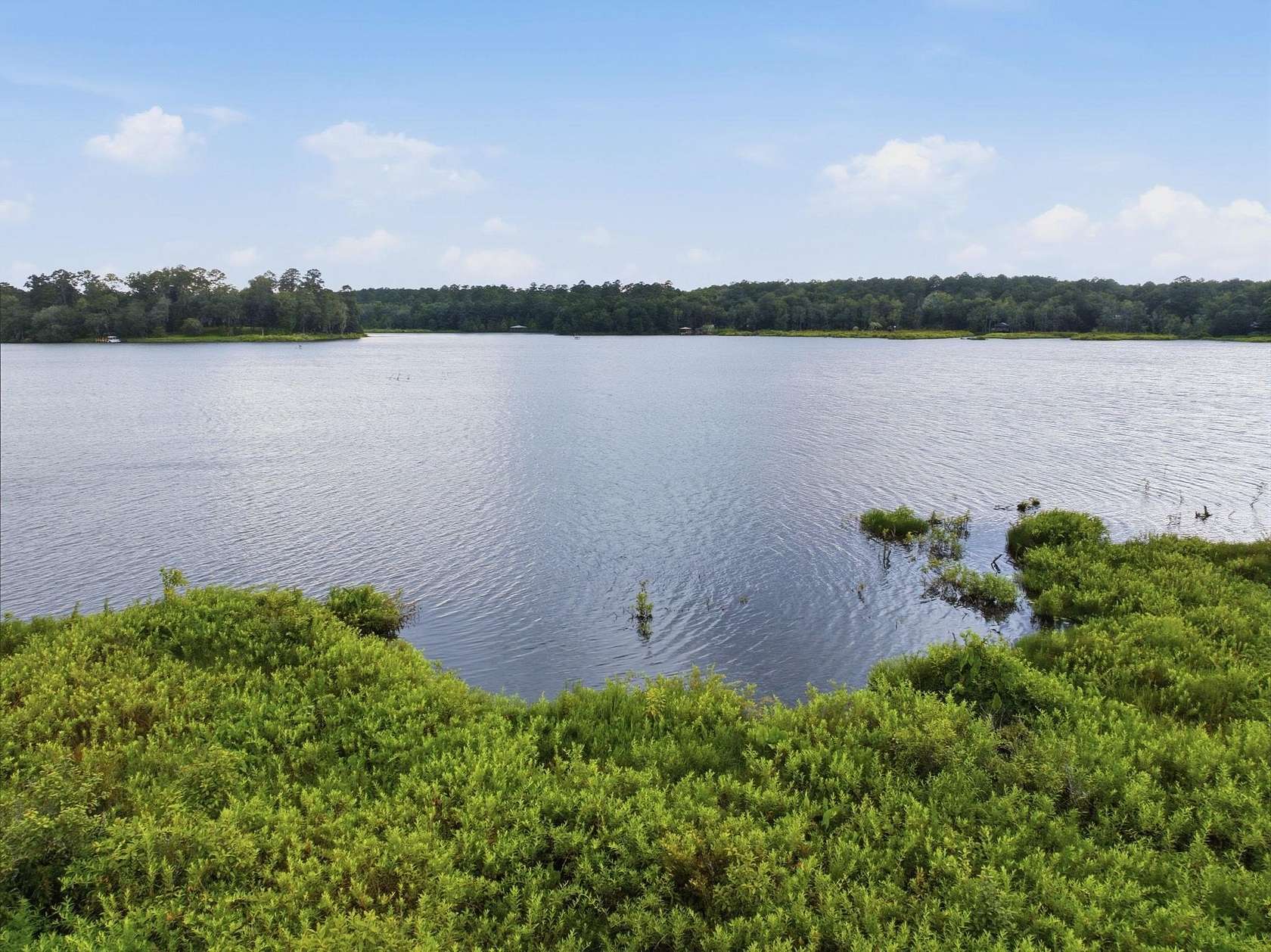 8.3 Acres of Land with Home for Sale in Tallahassee, Florida