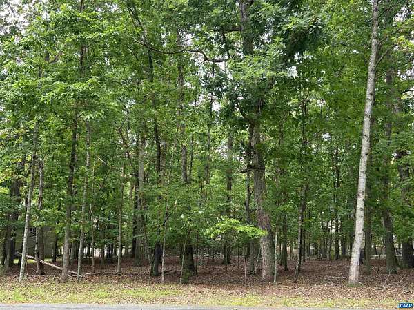 0.34 Acres of Residential Land for Sale in Palmyra, Virginia