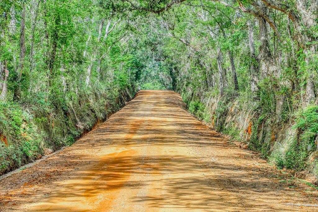 40 Acres of Land for Sale in Quitman, Georgia
