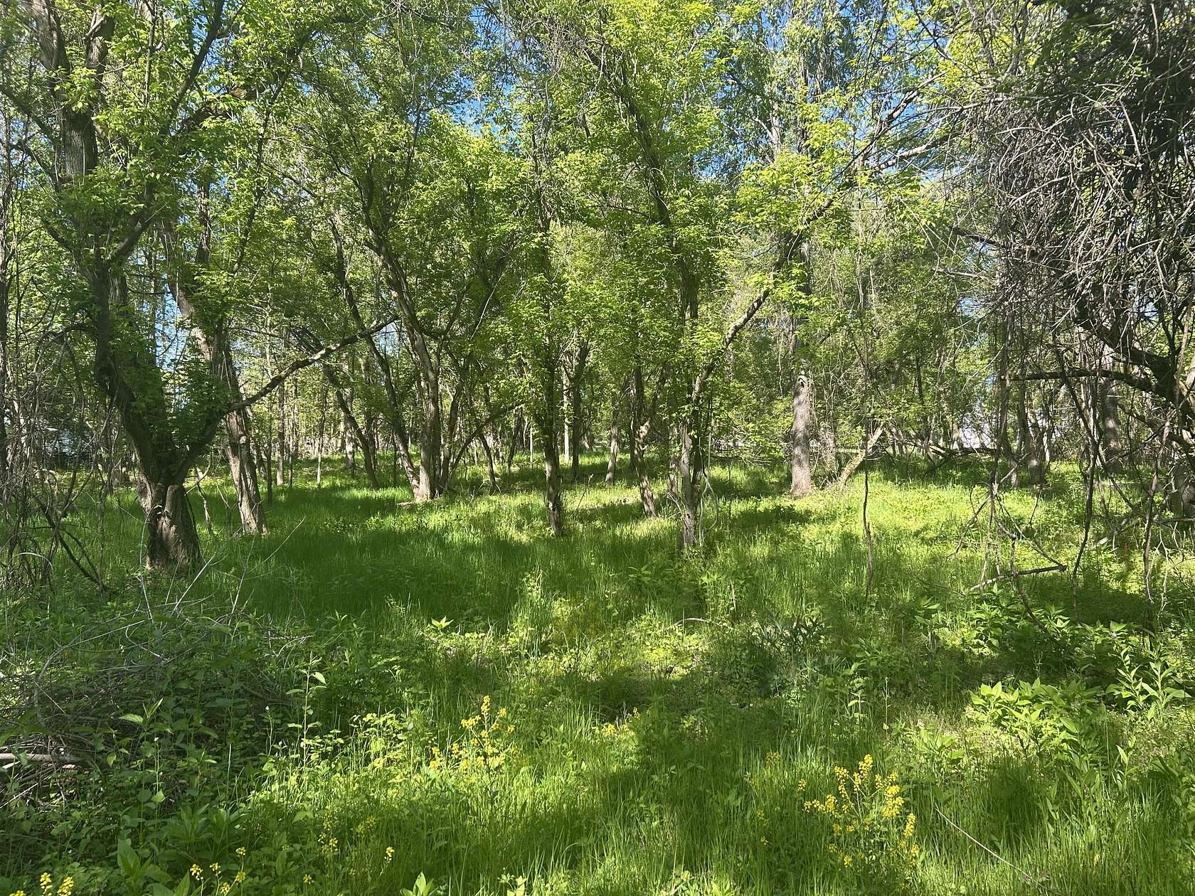 1.4 Acres of Residential Land for Sale in Charlotte, Michigan