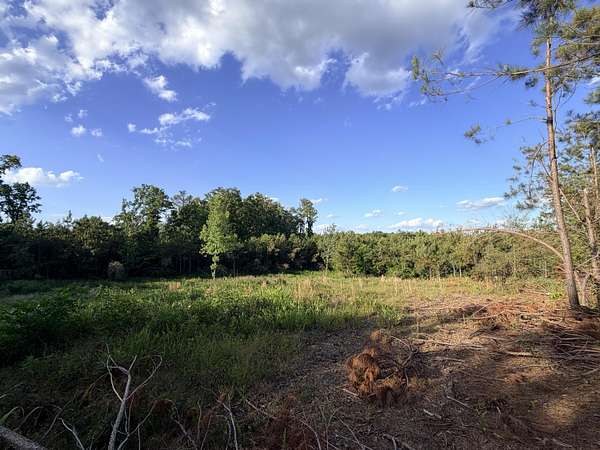 33.1 Acres of Land for Sale in Baldwyn, Mississippi
