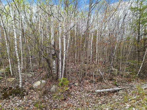 2 Acres of Residential Land for Sale in Belgrade, Maine