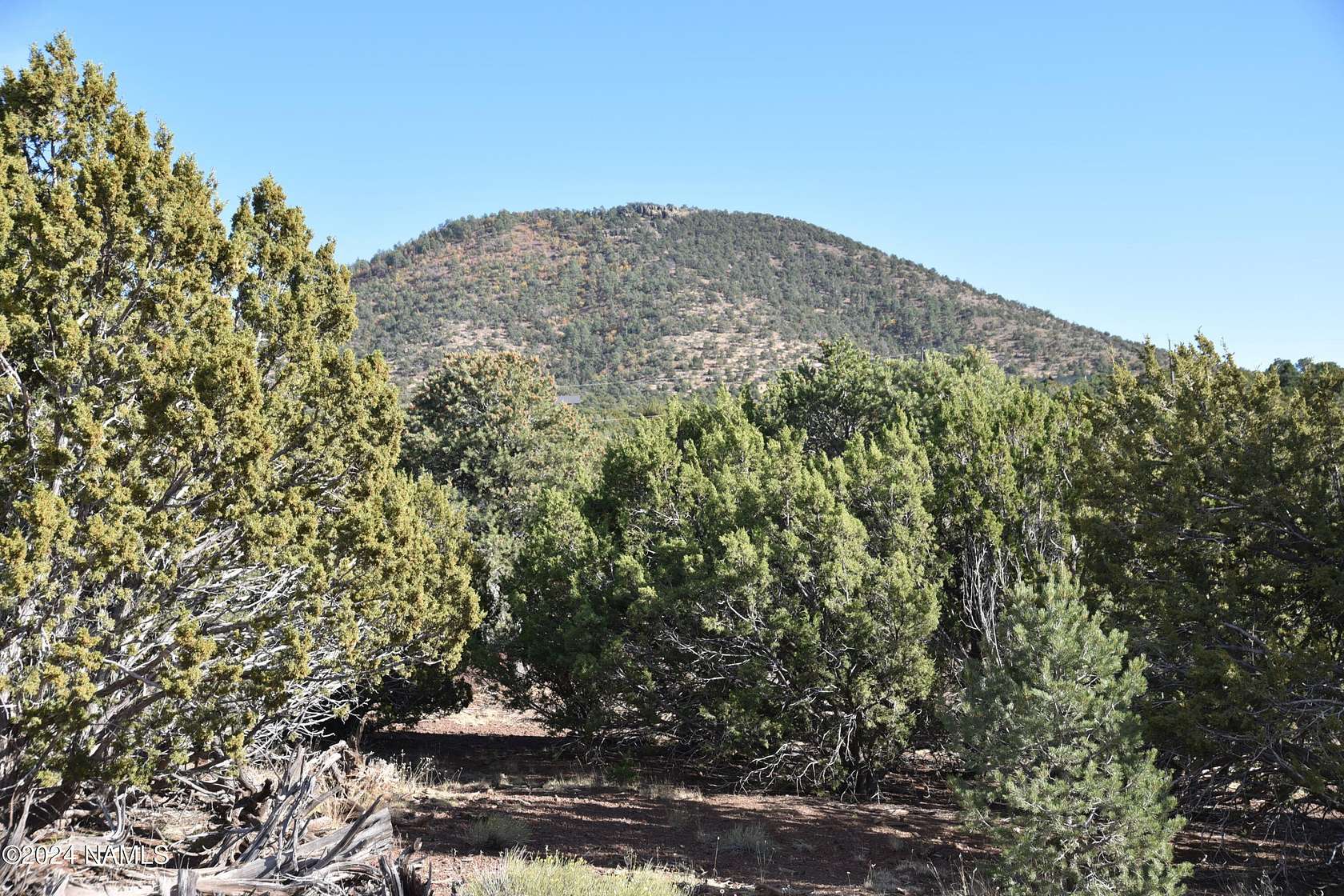 1 Acre of Land for Sale in Williams, Arizona