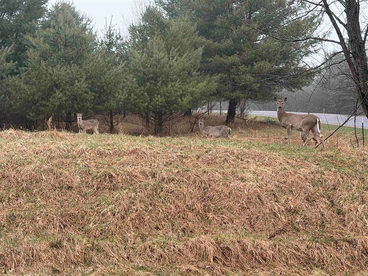 0.47 Acres of Land for Sale in Gladwin, Michigan