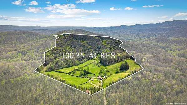 100 Acres of Land for Sale in Blue Ridge, Georgia