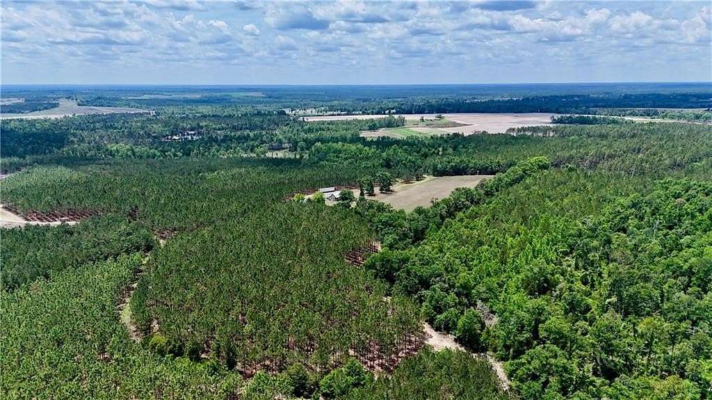 225 Acres of Recreational Land for Sale in McRae, Georgia