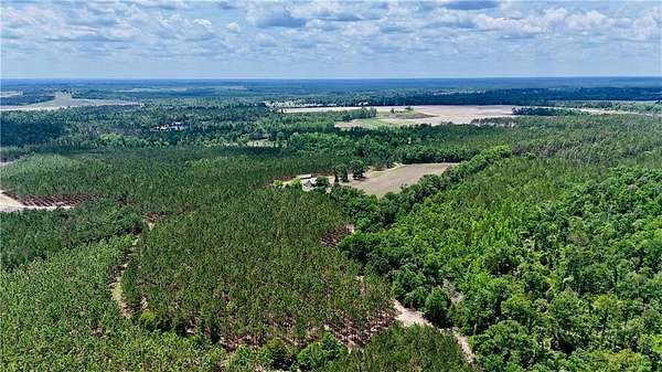 225 Acres of Recreational Land for Sale in McRae, Georgia