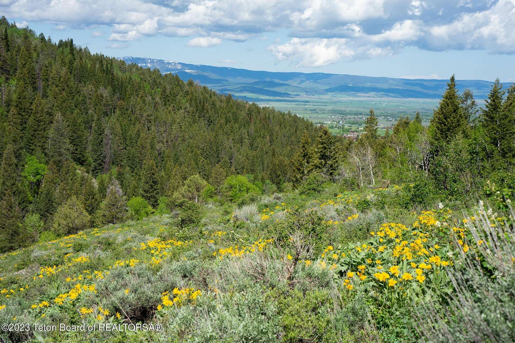 4.68 Acres of Residential Land for Sale in Victor, Idaho