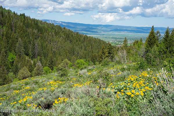 4.68 Acres of Residential Land for Sale in Victor, Idaho
