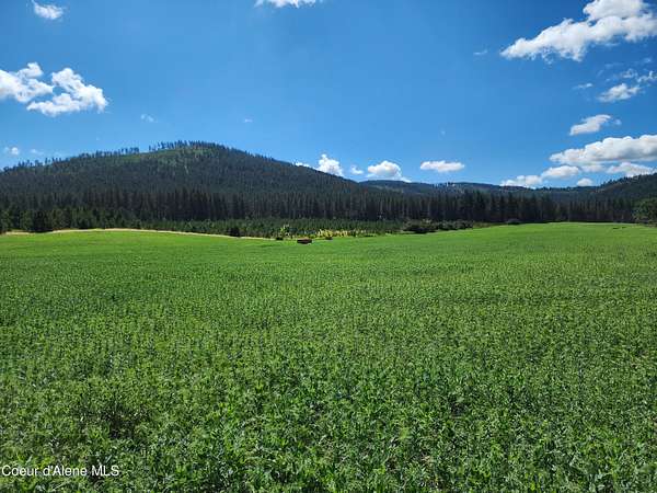 36 Acres of Land for Sale in De Smet, Idaho