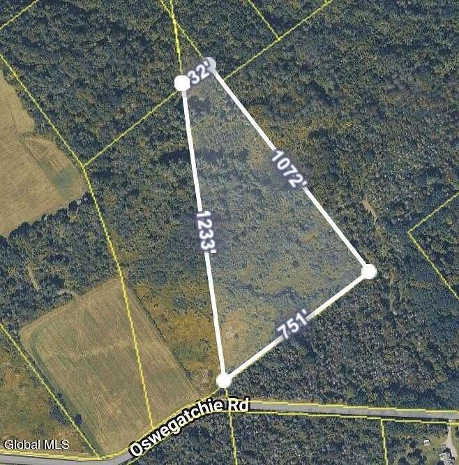 21.2 Acres of Recreational & Residential Land for Sale in Palatine Town, New York