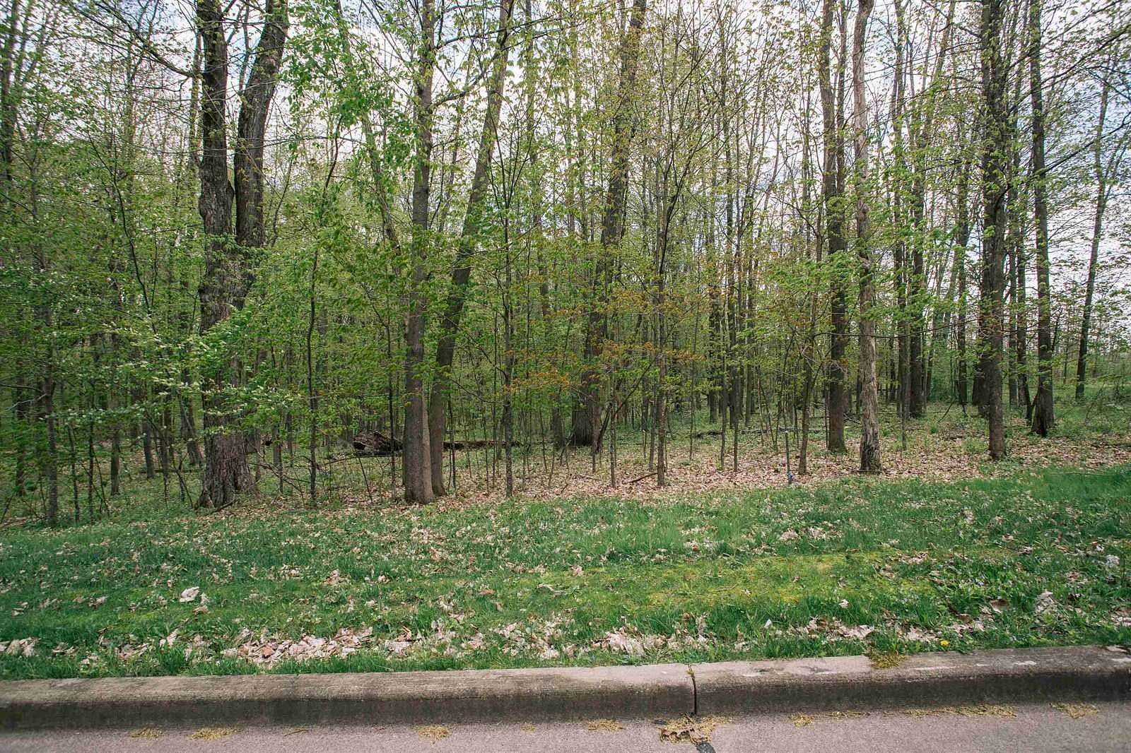 0.45 Acres of Residential Land for Sale in Neillsville, Wisconsin