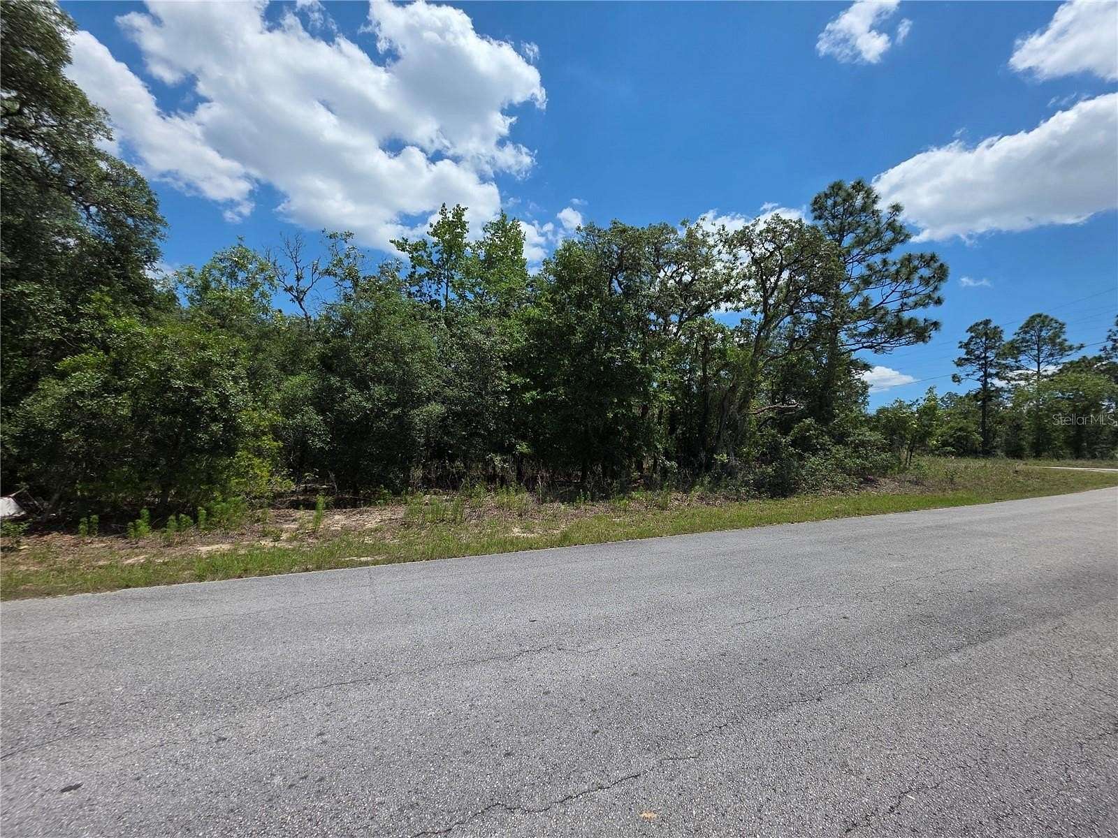 1 Acre of Residential Land for Sale in Dunnellon, Florida