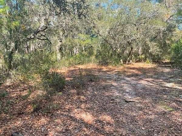 0.99 Acres of Residential Land for Sale in Ocklawaha, Florida