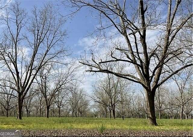 5.74 Acres of Residential Land for Sale in Odum, Georgia