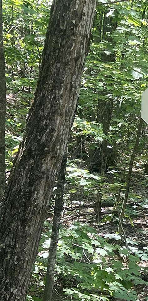 0.88 Acres of Residential Land for Sale in Mancelona, Michigan