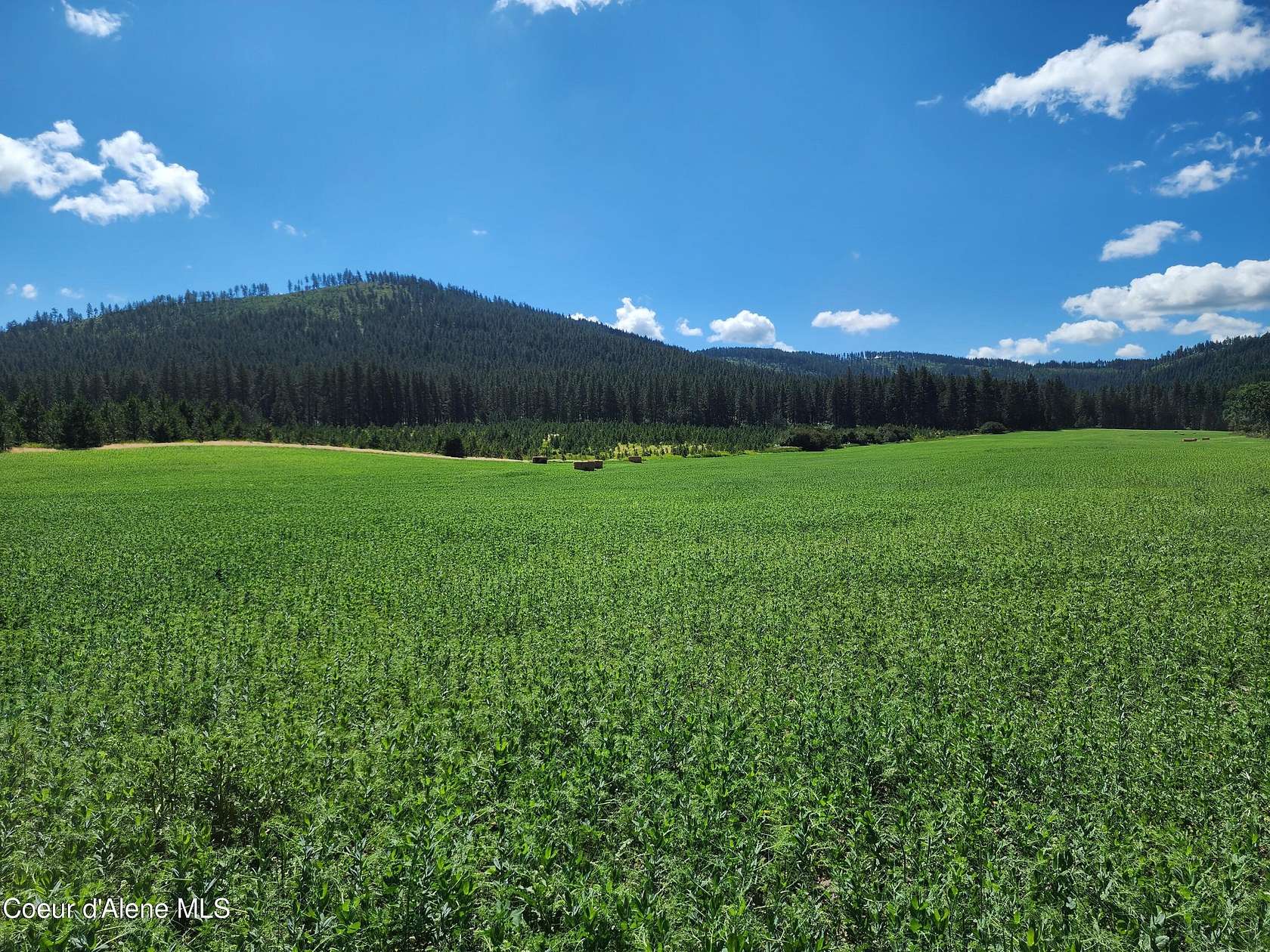 38 Acres of Land for Sale in De Smet, Idaho