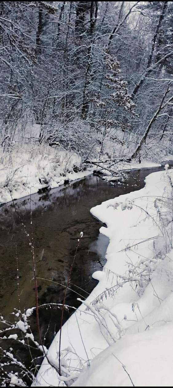 77 Acres of Recreational Land for Sale in Howard City, Michigan