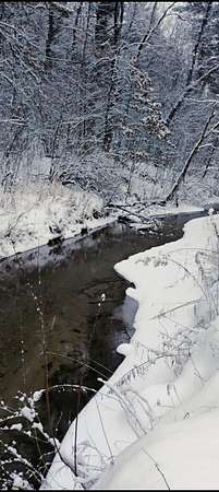 77 Acres of Recreational Land for Sale in Howard City, Michigan