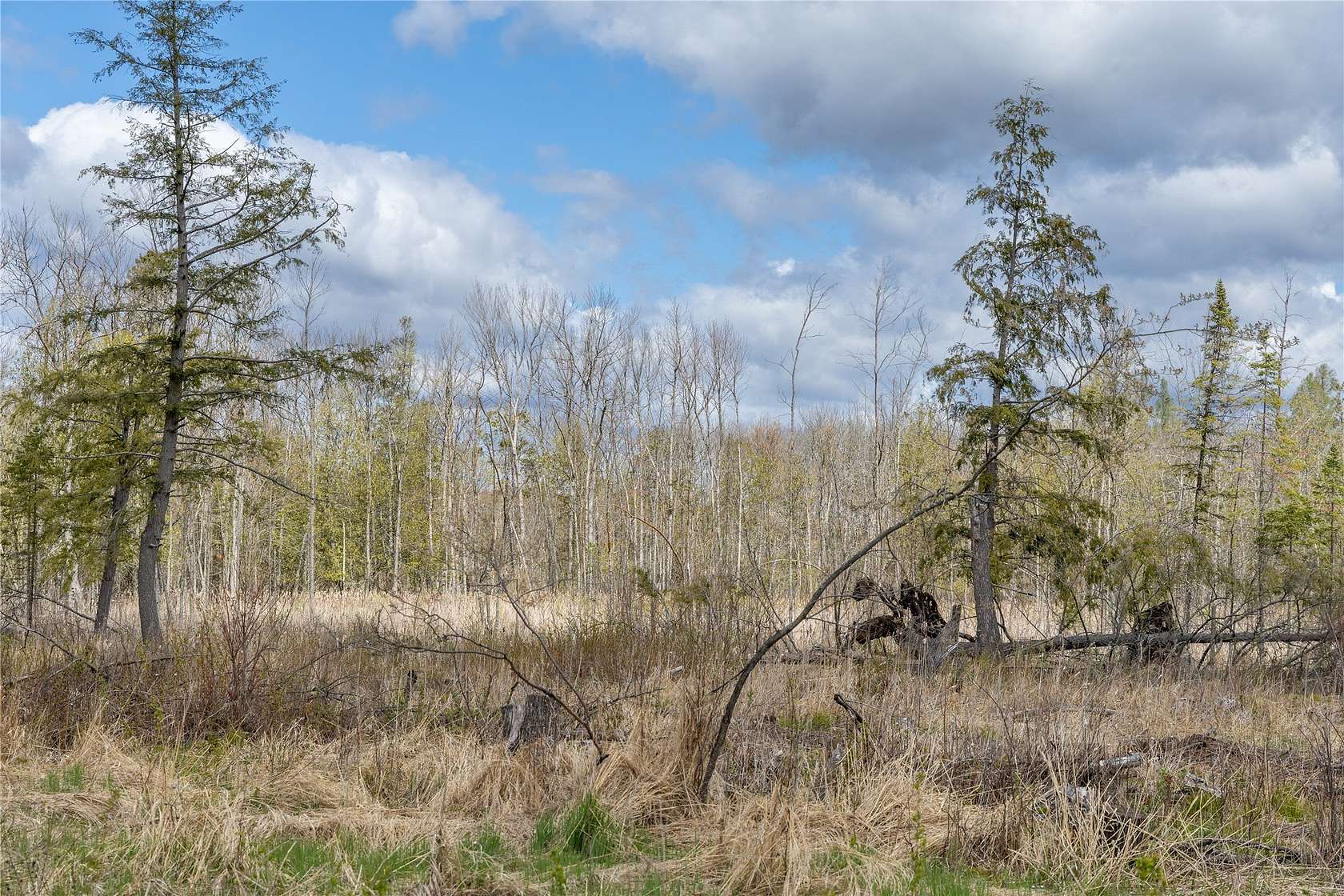 40 Acres of Land for Sale in Glen Flora, Wisconsin
