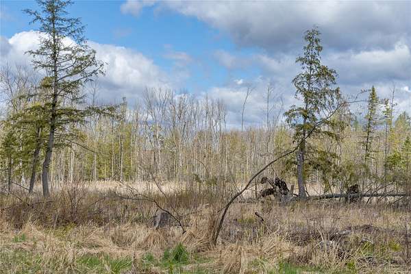 40 Acres of Land for Sale in Glen Flora, Wisconsin