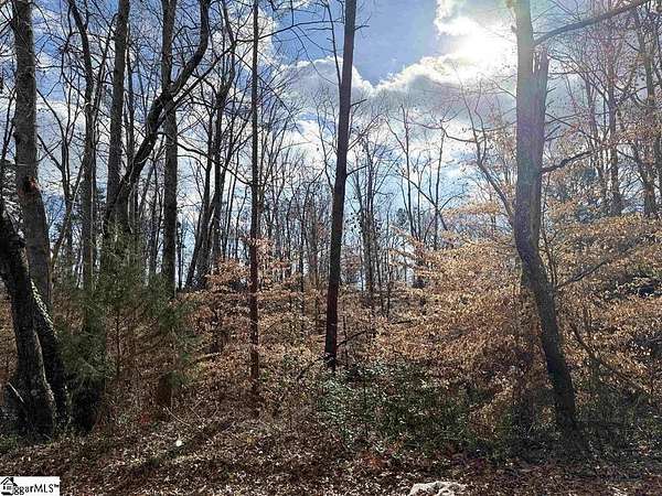 1 Acre of Residential Land for Sale in Piedmont, South Carolina