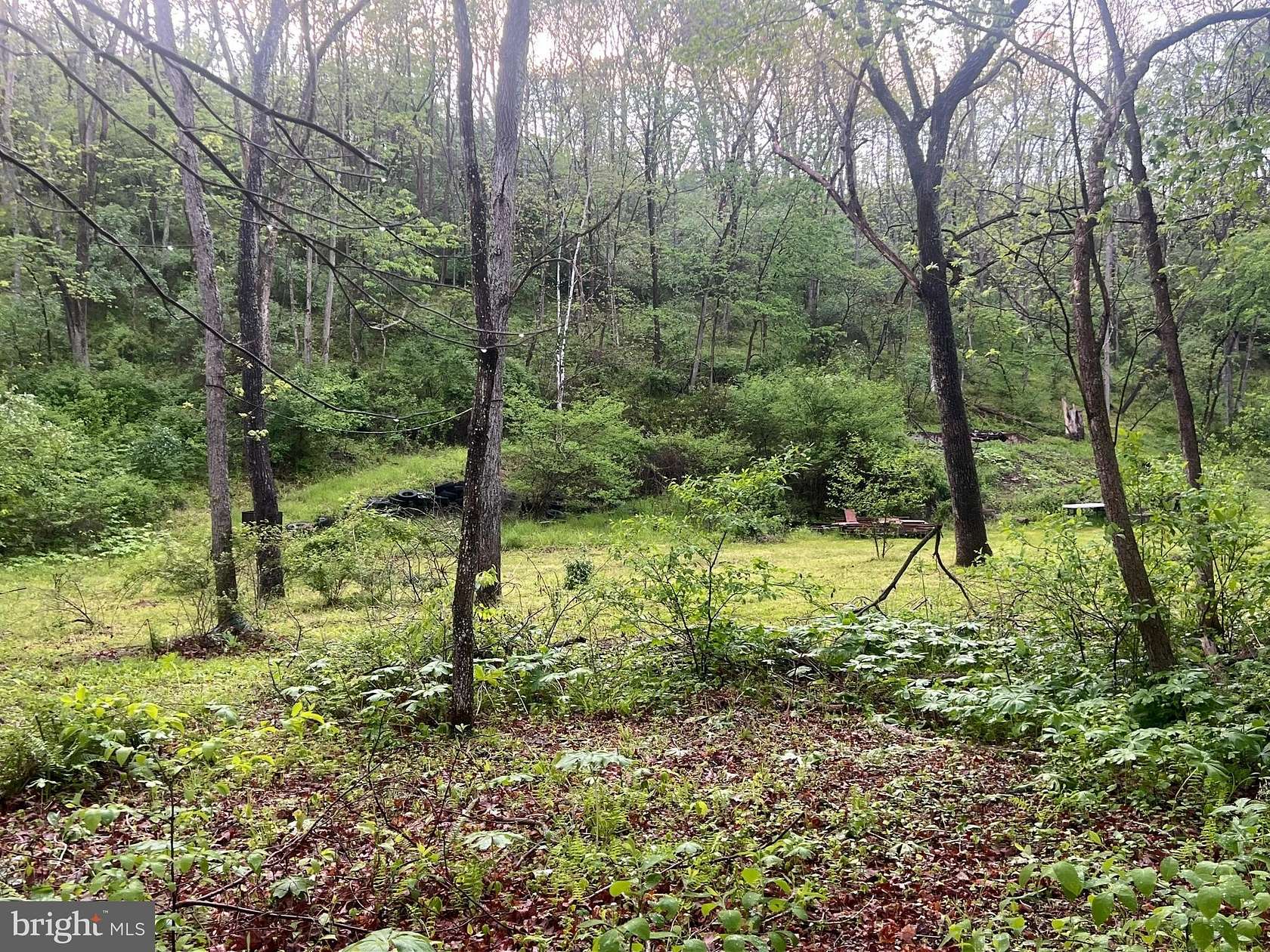 5 Acres of Recreational Land for Sale in Little Orleans, Maryland
