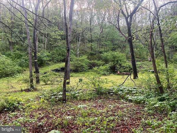 5 Acres of Recreational Land for Sale in Little Orleans, Maryland