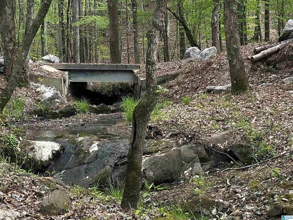 19.5 Acres of Land for Sale in Pelham, Alabama