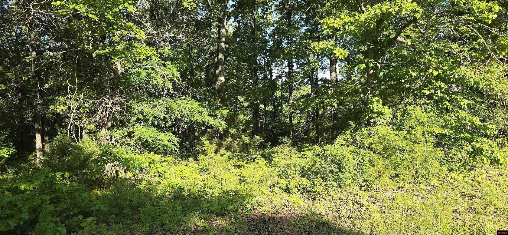 0.99 Acres of Land for Sale in Flippin, Arkansas