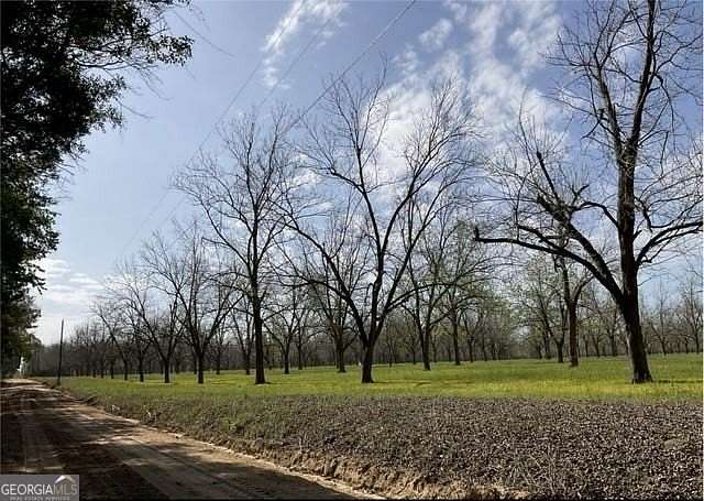 5.73 Acres of Residential Land for Sale in Odum, Georgia
