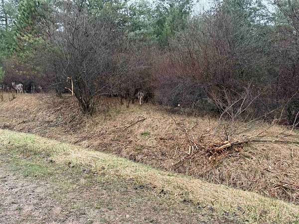 0.3 Acres of Land for Sale in Gladwin, Michigan