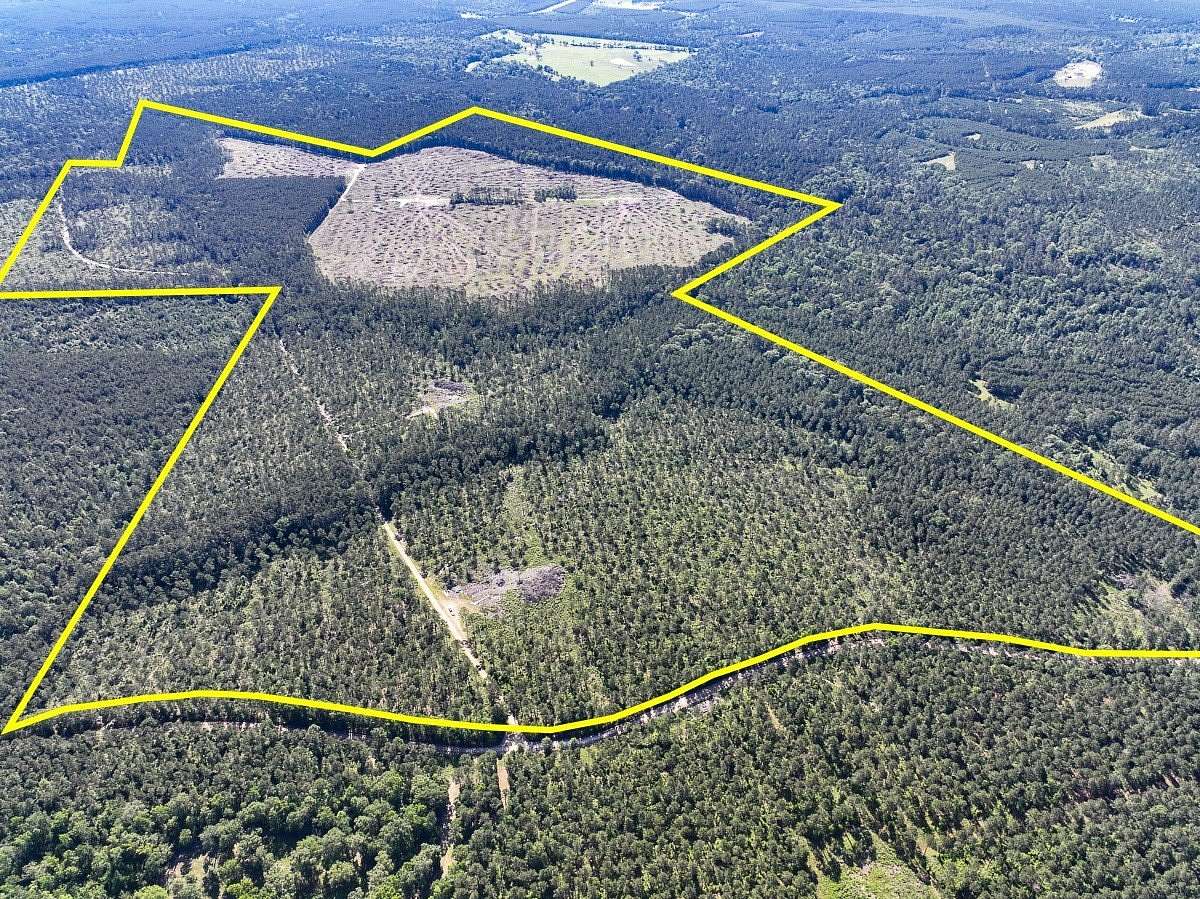 420 Acres of Recreational Land for Sale in Groveton, Texas