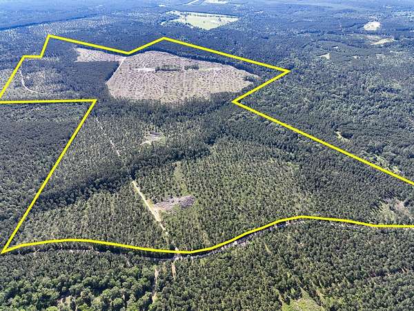 420 Acres of Recreational Land for Sale in Groveton, Texas