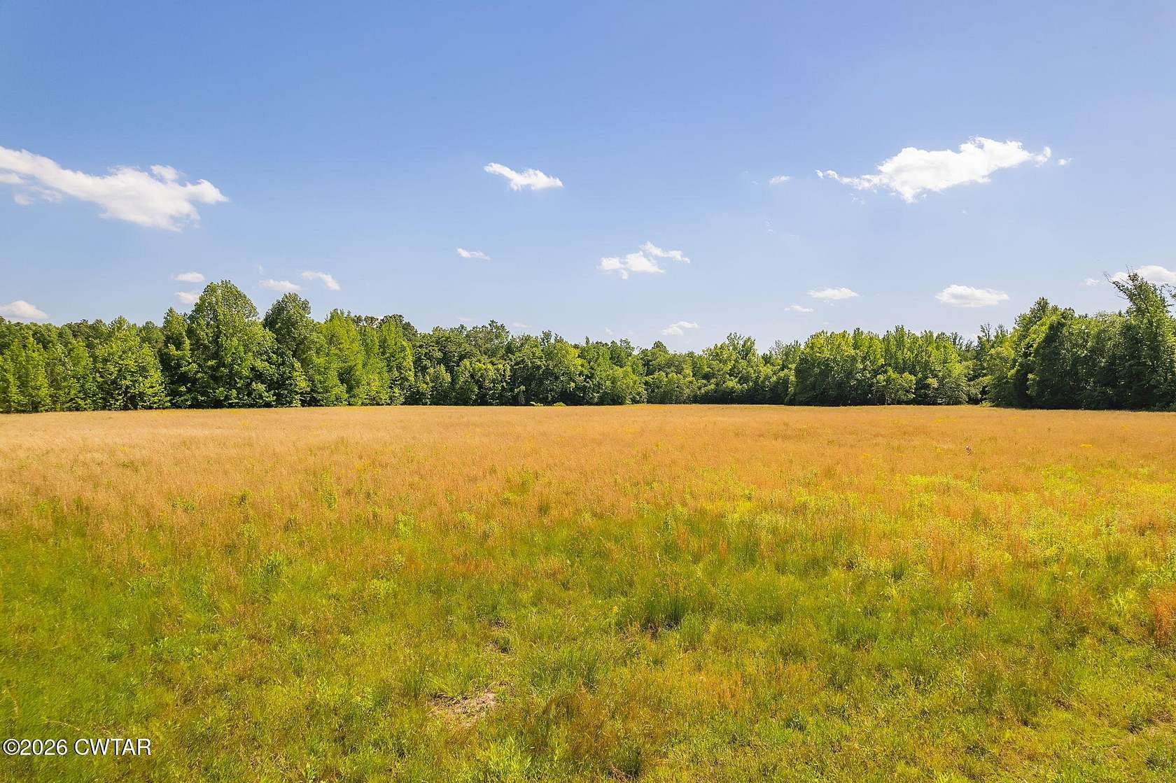 65.9 Acres of Recreational Land for Sale in Henderson, Tennessee
