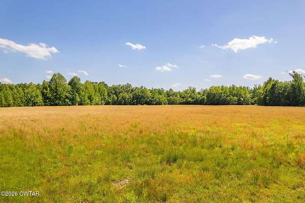 65.9 Acres of Recreational Land for Sale in Henderson, Tennessee