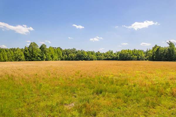 65.9 Acres of Recreational Land for Sale in Henderson, Tennessee