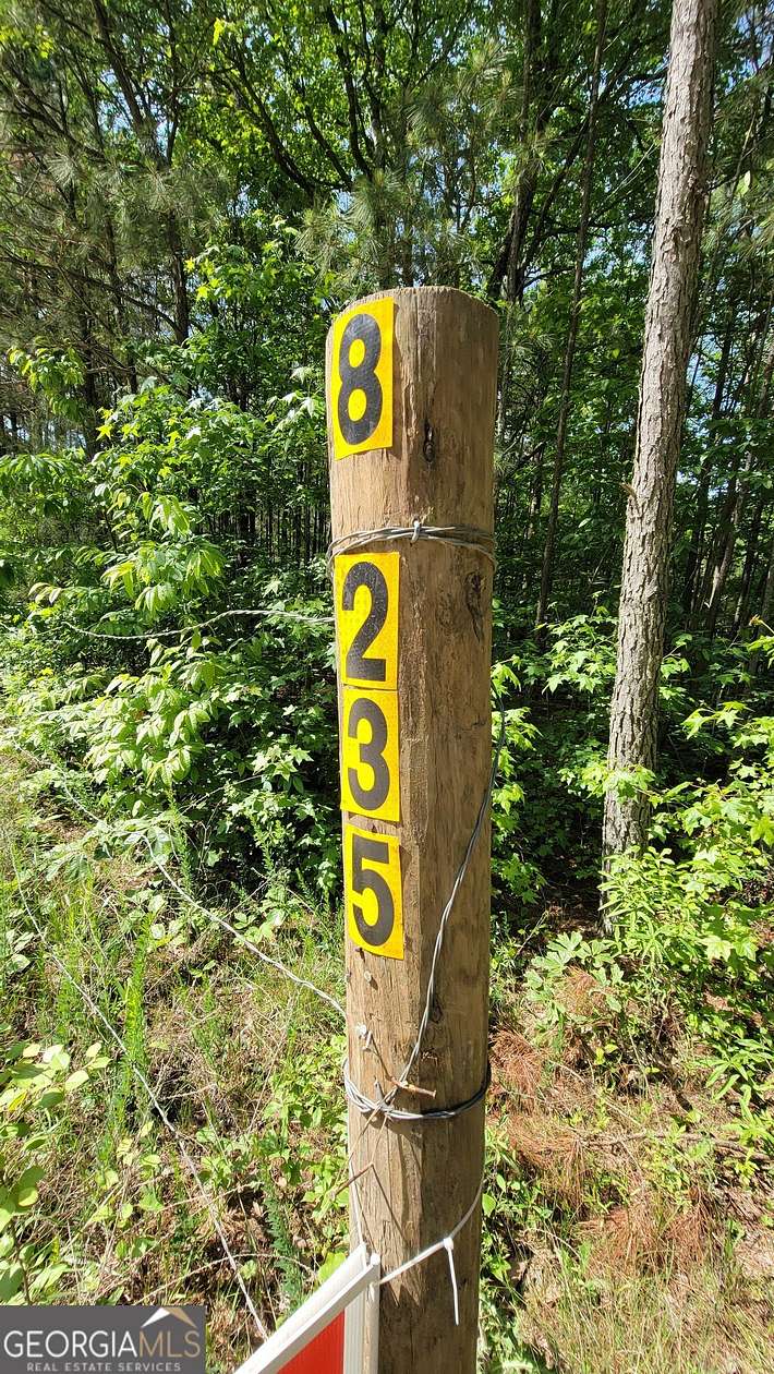 5.22 Acres of Land for Sale in Whitesburg, Georgia
