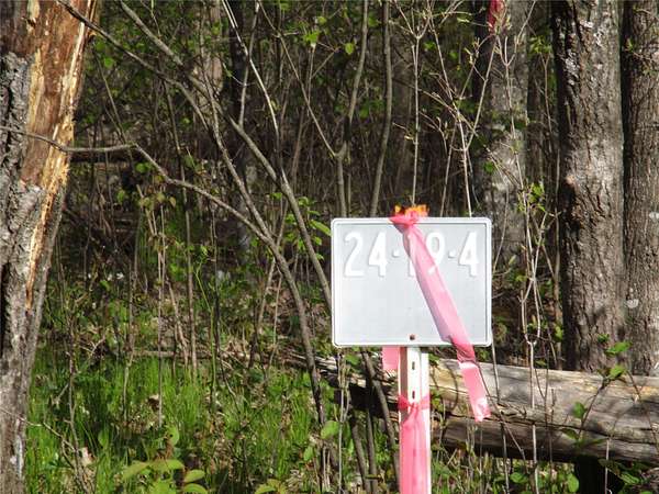 0.46 Acres of Residential Land for Sale in Birchwood, Wisconsin