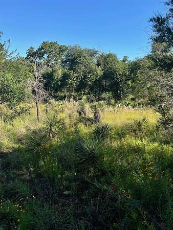 0.11 Acres of Residential Land for Sale in Granite Shoals, Texas