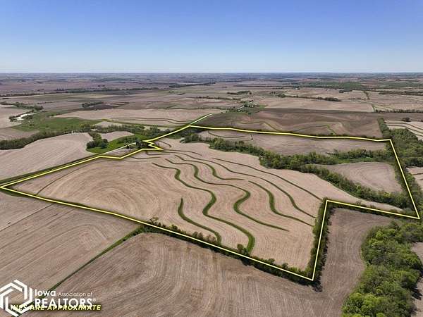 144 Acres of Agricultural Land for Auction in Randolph, Iowa