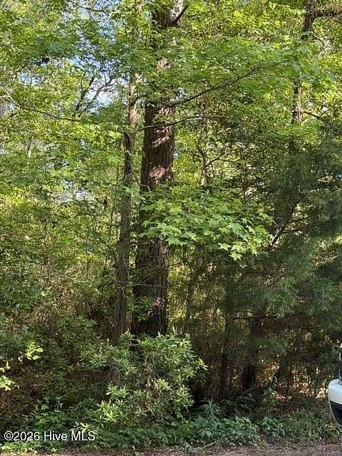 0.38 Acres of Residential Land for Sale in Hampstead, North Carolina