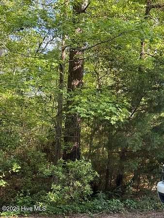 0.38 Acres of Residential Land for Sale in Hampstead, North Carolina