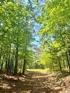 40 Acres of Land for Sale in Oxford, Mississippi