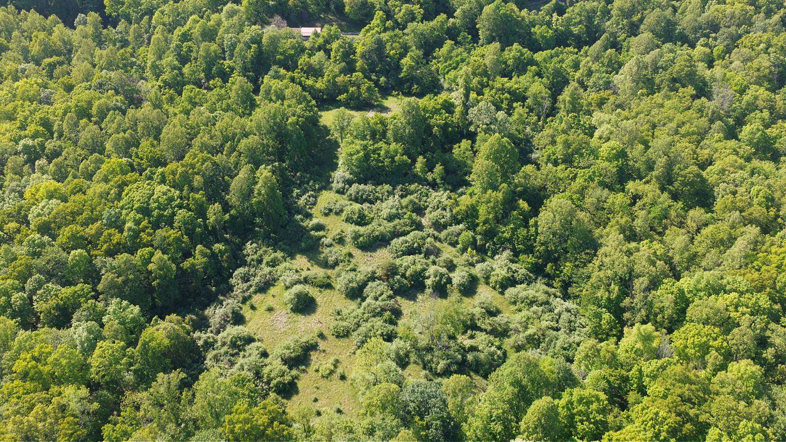 12.1 Acres of Land for Sale in Glenville, West Virginia