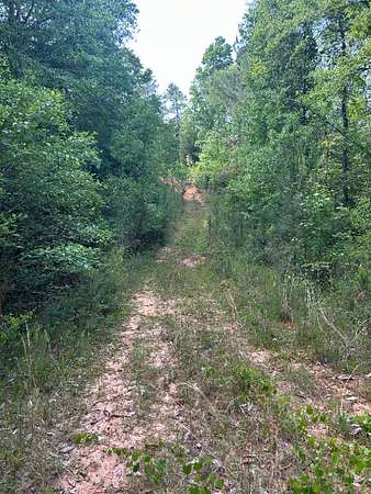 74 Acres of Recreational & Residential Land for Sale in Dozier, Alabama