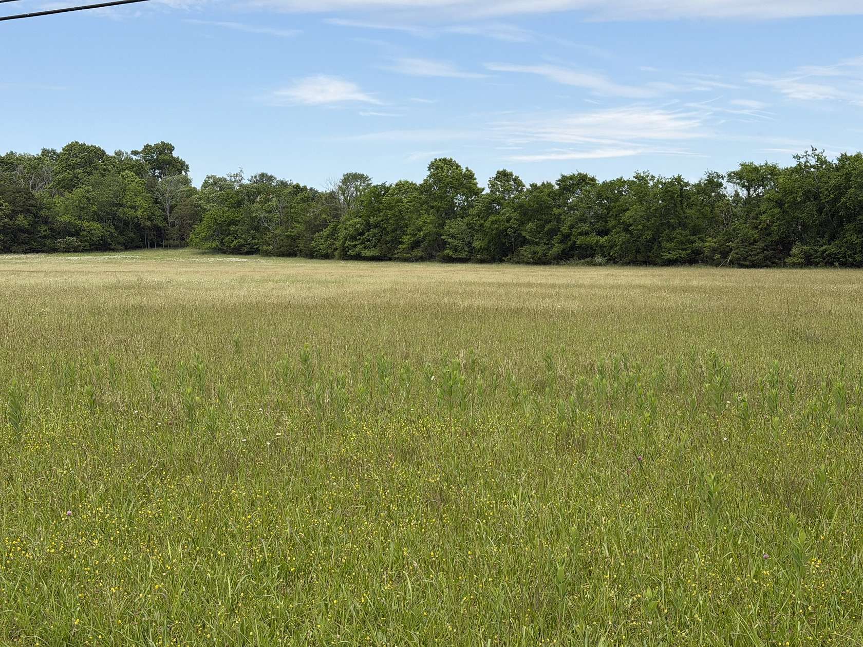 5 Acres of Residential Land for Sale in Goodlettsville, Tennessee