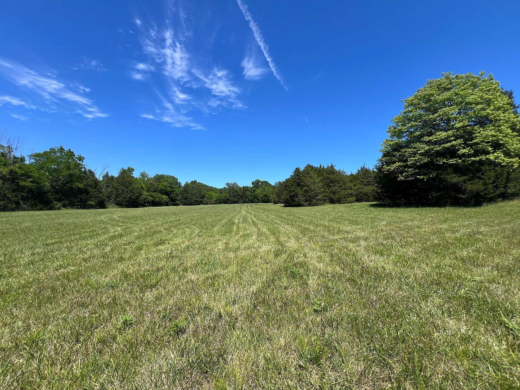 30 Acres of Land for Auction in Milton, Tennessee